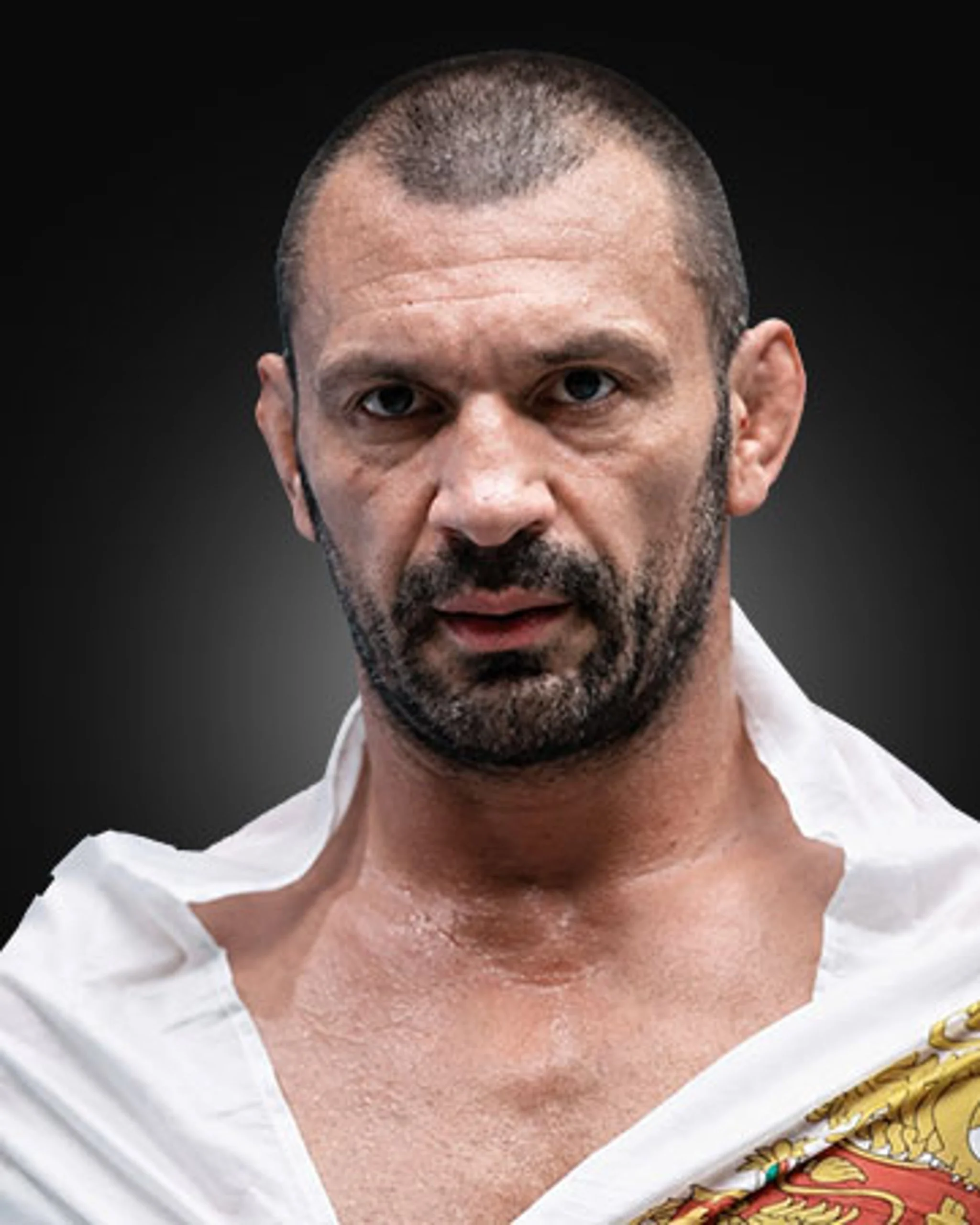 Никола Дипчиков